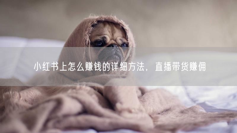 小红书上怎么赚钱的详细方法，直播带货赚佣