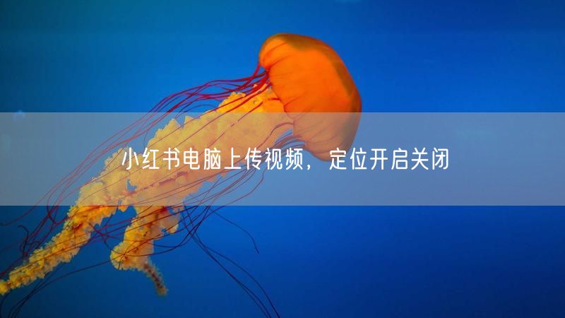 小红书电脑上传视频，定位开启关闭