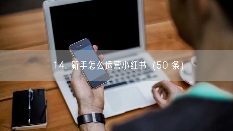 14. 新手怎么运营小红书（50 条）