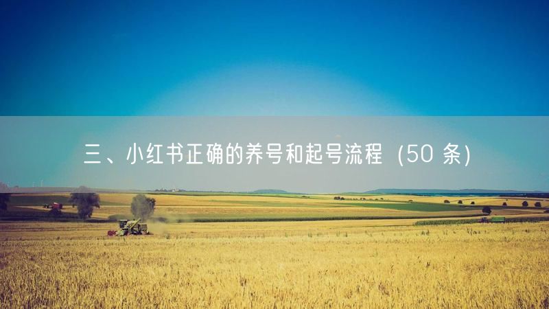 三、小红书正确的养号和起号流程（50 条）