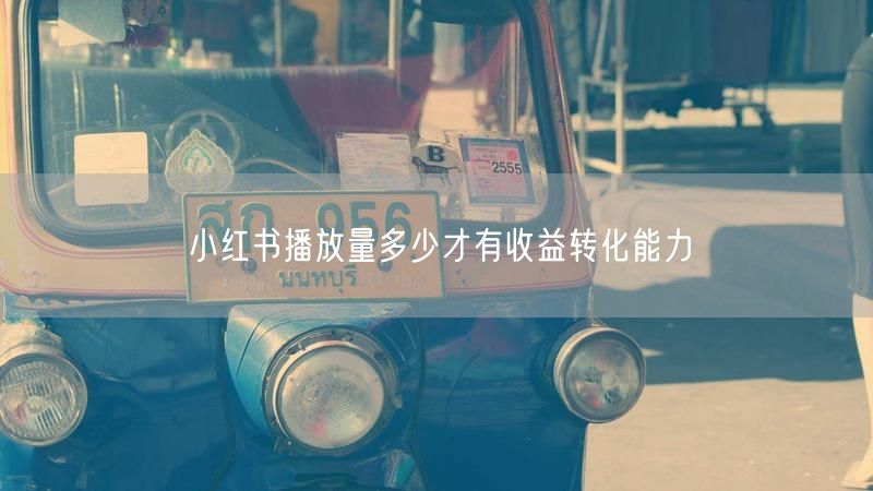 小红书播放量多少才有收益转化能力