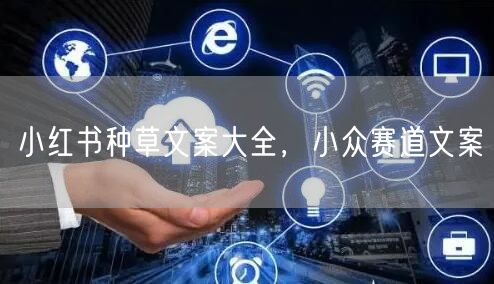 小红书种草文案大全，小众赛道文案