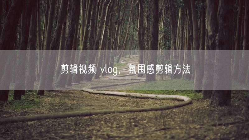 剪辑视频 vlog，氛围感剪辑方法