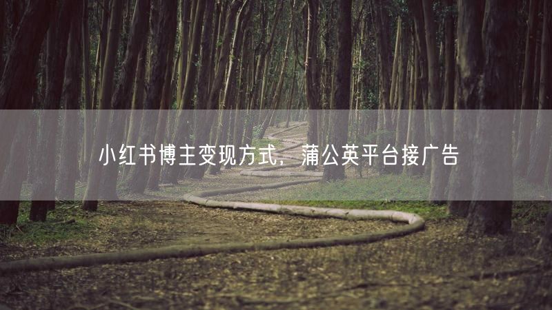 小红书博主变现方式，蒲公英平台接广告