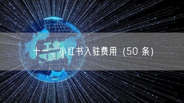 十一、小红书入驻费用（50 条）