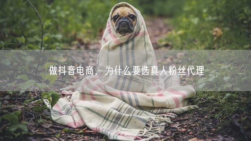 做抖音电商，为什么要选真人粉丝代理