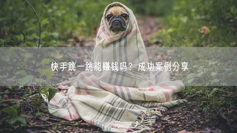 快手跳一跳能赚钱吗？成功案例分享