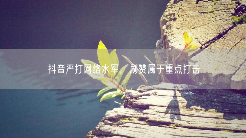 抖音严打网络水军，刷赞属于重点打击