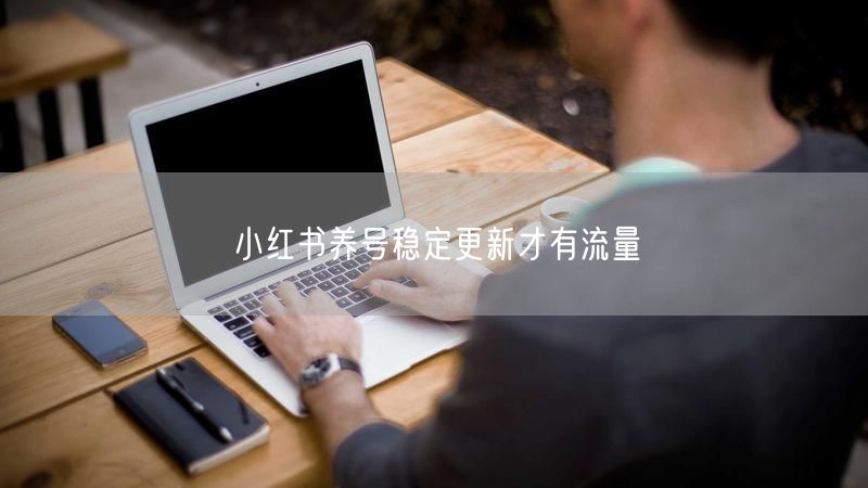 小红书养号稳定更新才有流量
