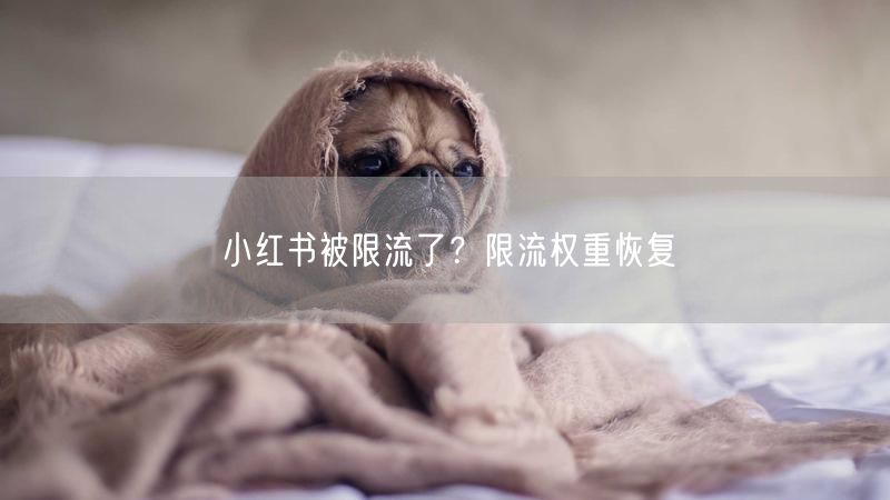 小红书被限流了？限流权重恢复