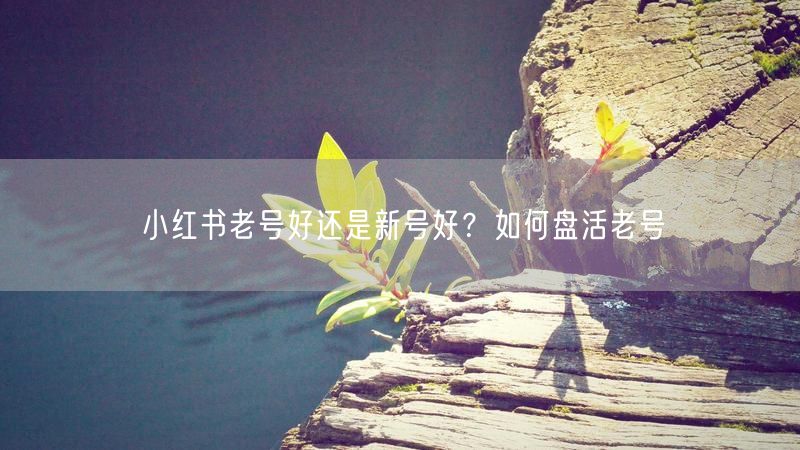 小红书老号好还是新号好？如何盘活老号