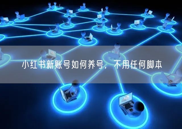 小红书新账号如何养号，不用任何脚本