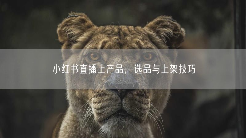 小红书直播上产品，选品与上架技巧