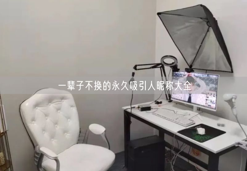 一辈子不换的永久吸引人昵称大全