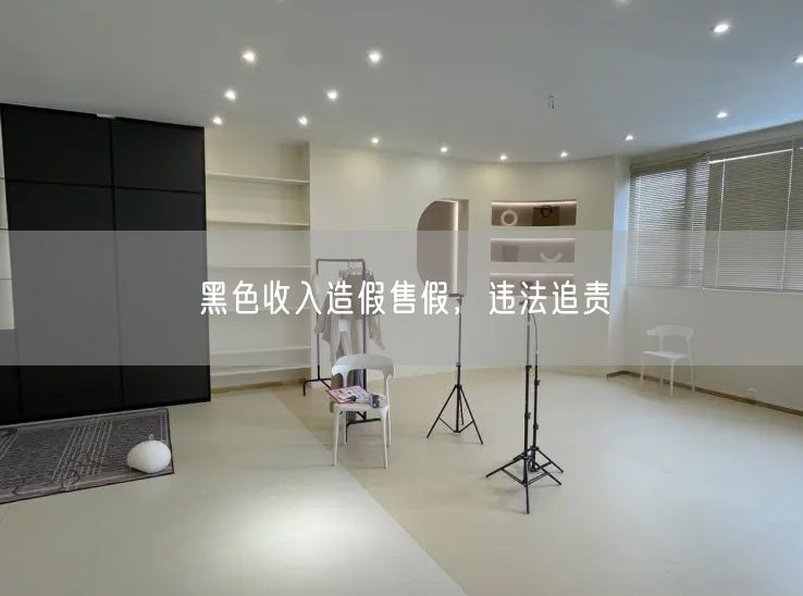黑色收入造假售假，违法追责