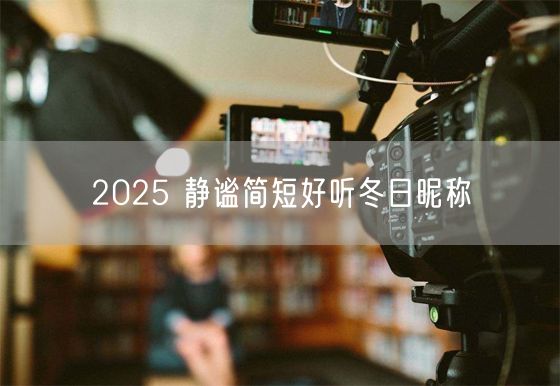 2025 静谧简短好听冬日昵称