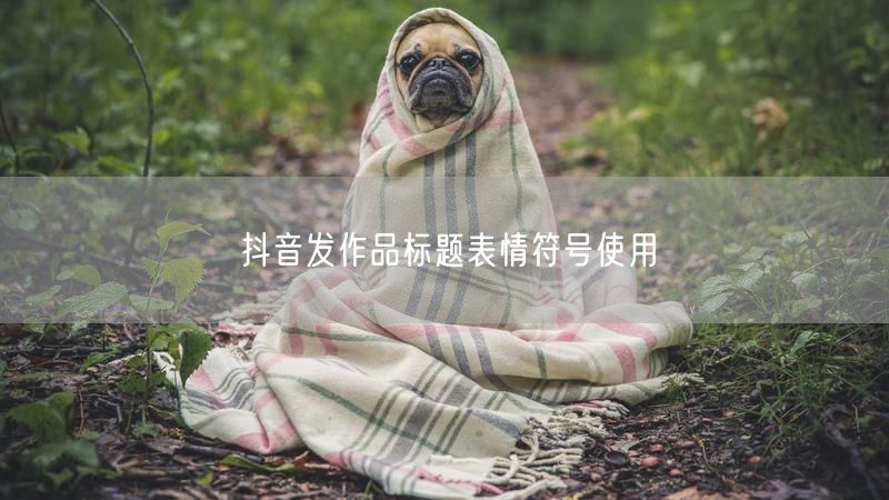 抖音发作品标题表情符号使用