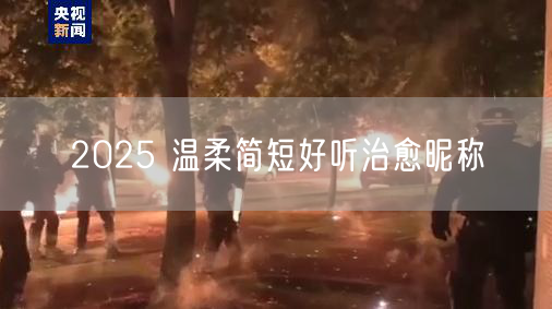 2025 温柔简短好听治愈昵称