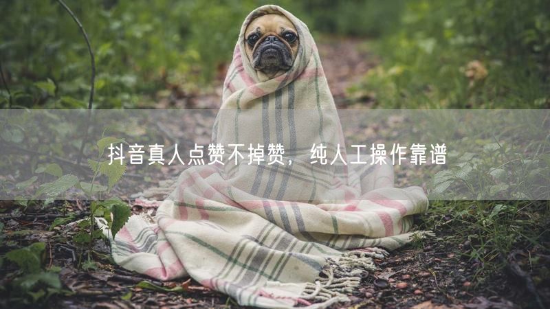 抖音真人点赞不掉赞，纯人工操作靠谱