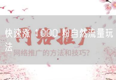 快速涨 1000 粉自然流量玩法