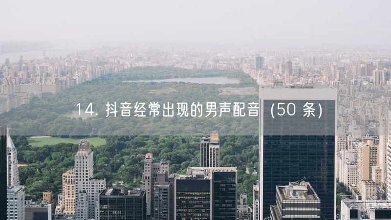 14. 抖音经常出现的男声配音（50 条）