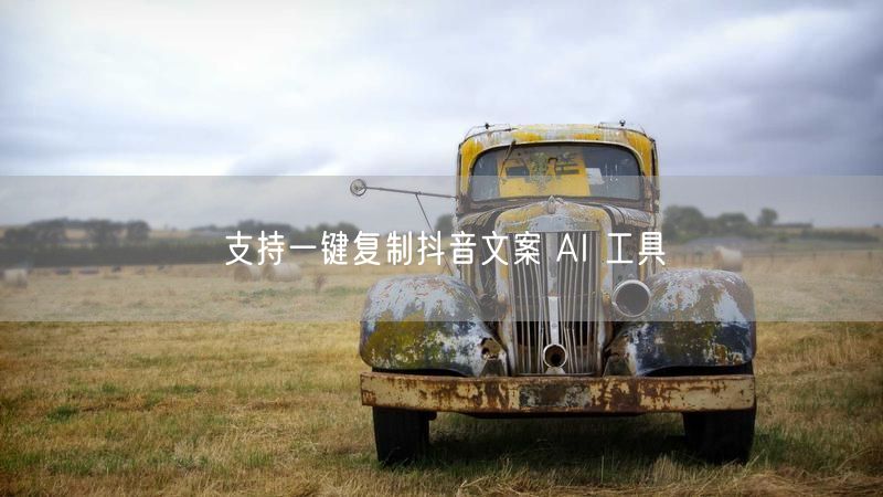 支持一键复制抖音文案 AI 工具