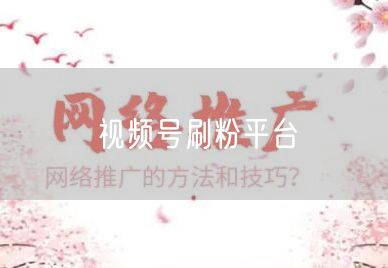 视频号刷粉平台