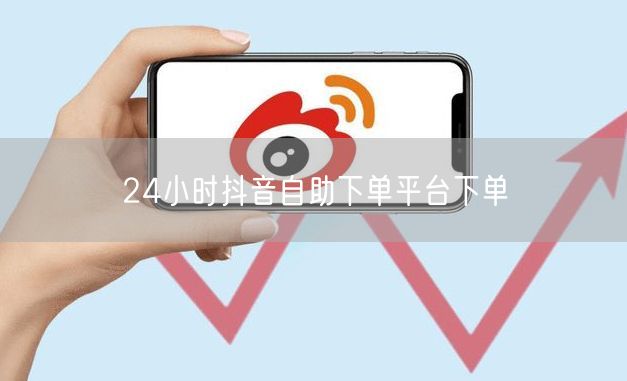 24小时抖音自助下单平台下单
