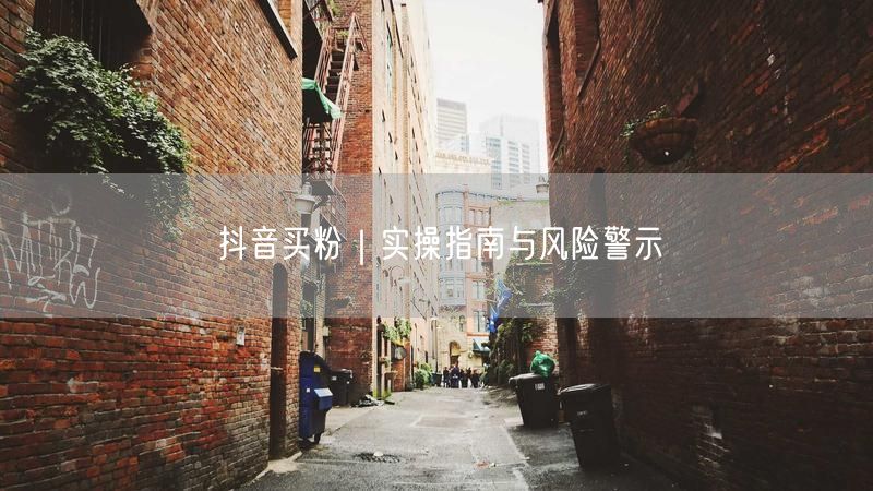 抖音买粉｜实操指南与风险警示