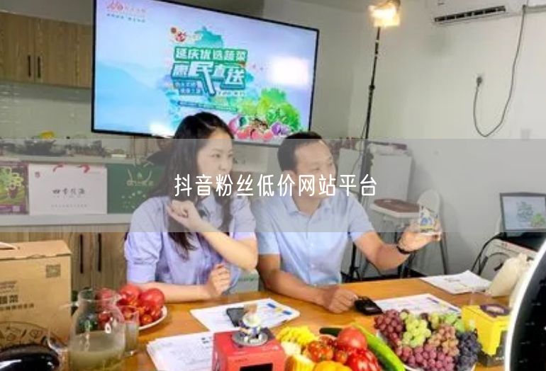 抖音粉丝低价网站平台