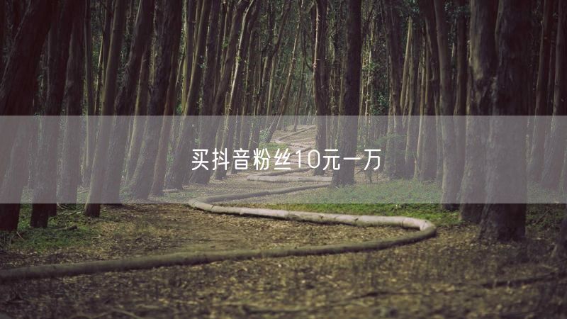 买抖音粉丝10元一万
