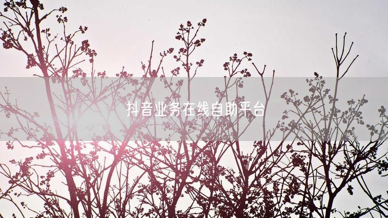抖音业务在线自助平台