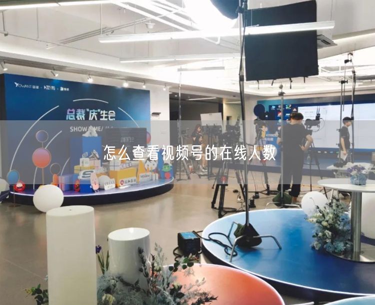怎么查看视频号的在线人数