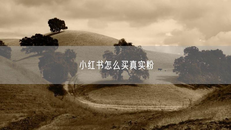 小红书怎么买真实粉