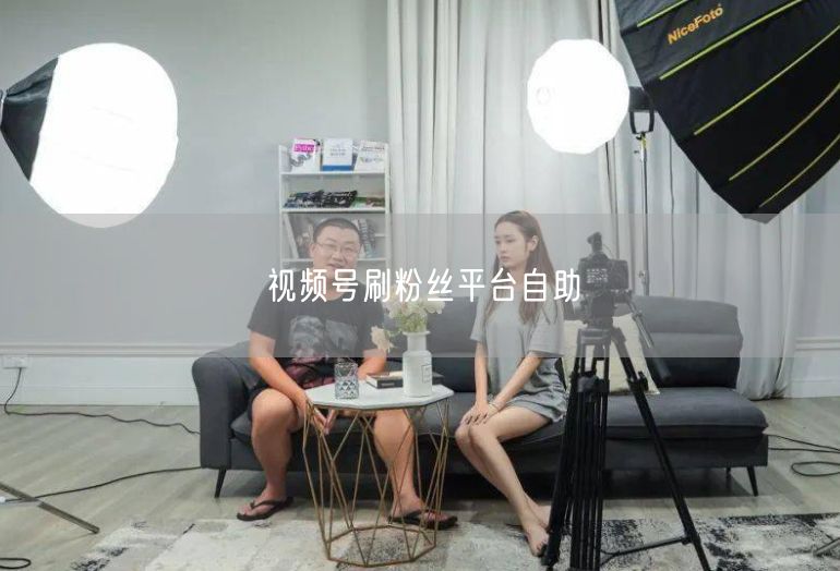 视频号刷粉丝平台自助
