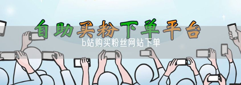 b站购买粉丝网站下单
