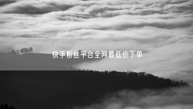 快手粉丝平台全网最低价下单