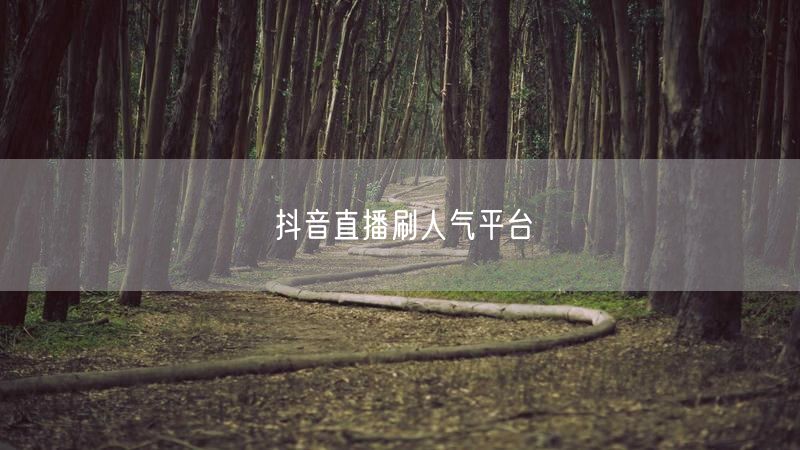 抖音直播刷人气平台