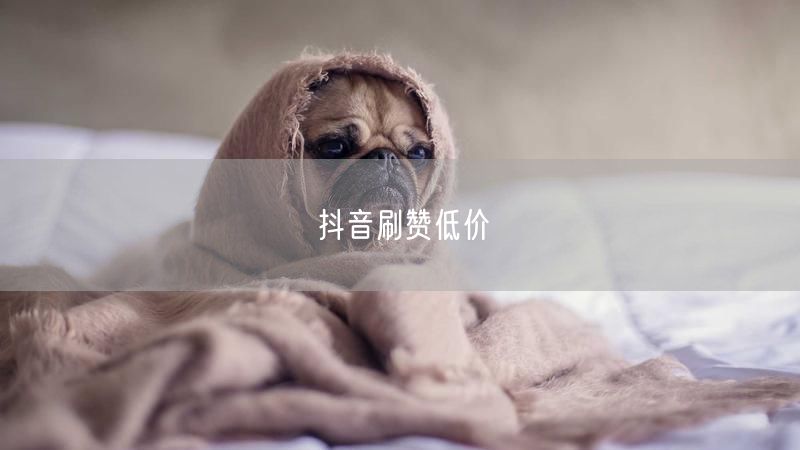 抖音刷赞低价