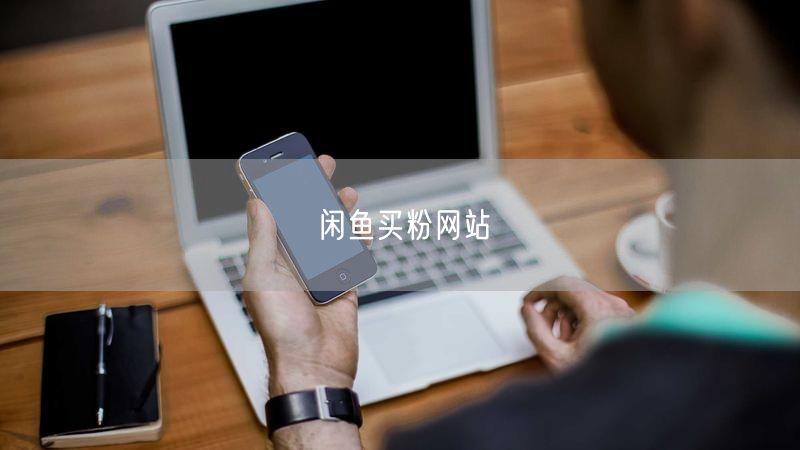 闲鱼买粉网站