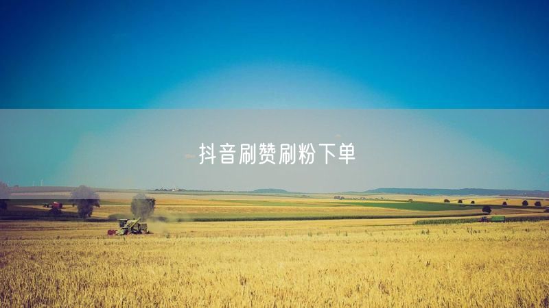 抖音刷赞刷粉下单