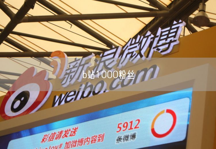 b站1000粉丝