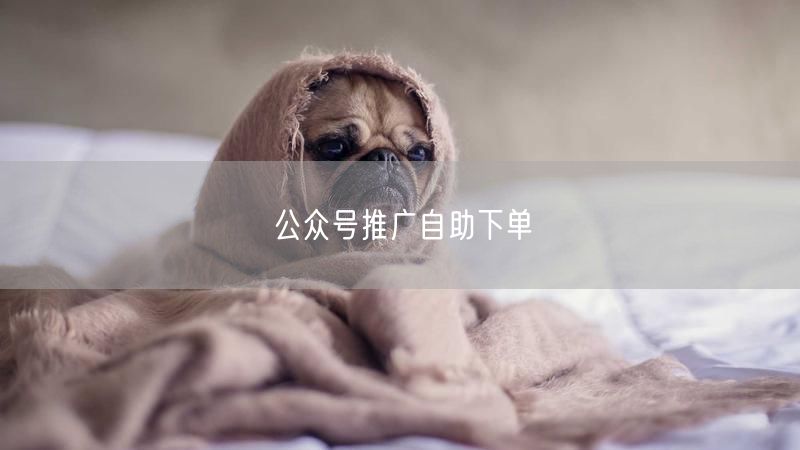公众号推广自助下单