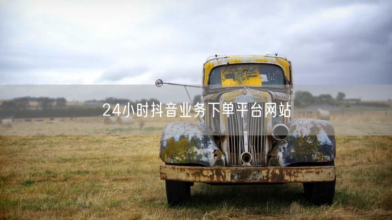 24小时抖音业务下单平台网站