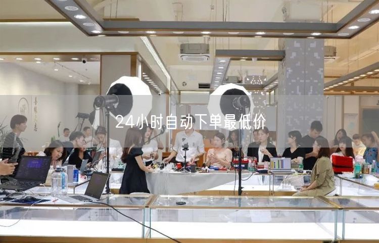 24小时自动下单最低价