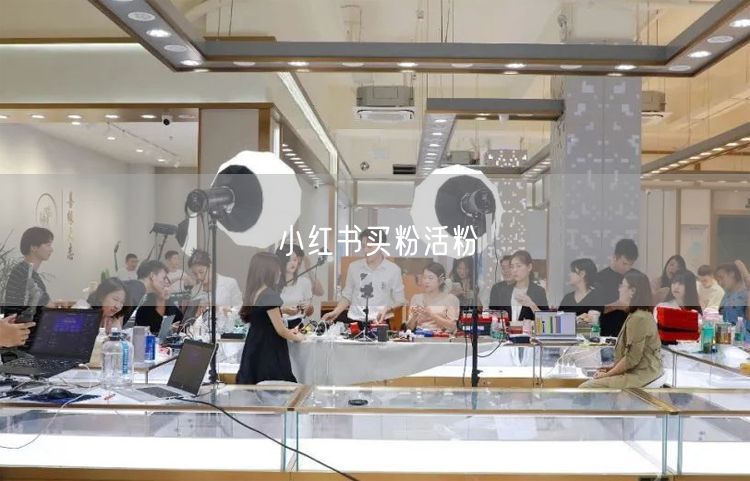 小红书买粉活粉