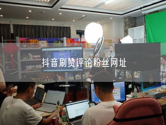 抖音刷赞评论粉丝网址