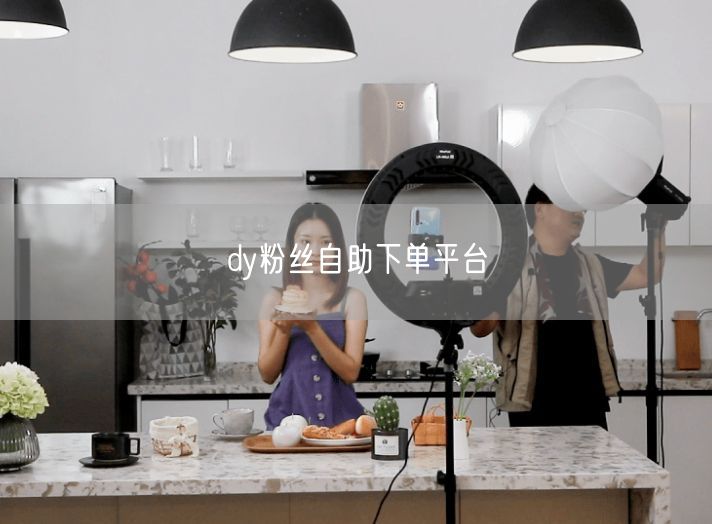 dy粉丝自助下单平台