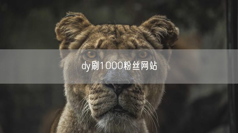 dy刷1000粉丝网站