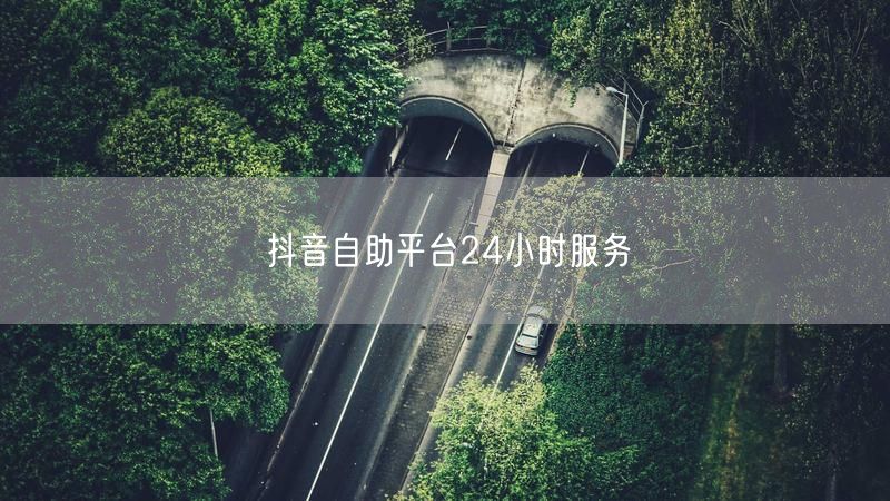 抖音自助平台24小时服务